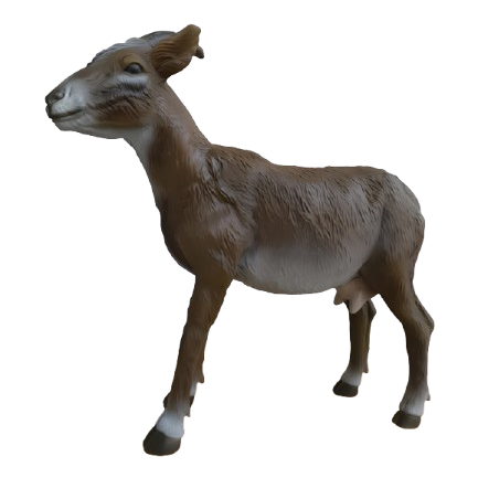 Realizzazione di una capra finta in 3d da esposizione